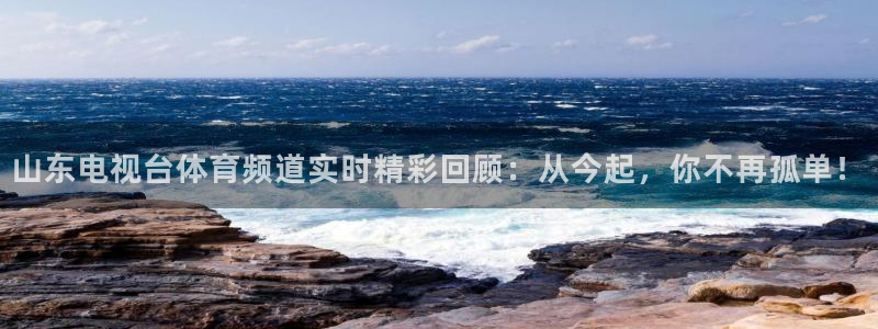 蓝鲸tv：山东电视台体育频道实时精彩回顾：从今起，你不再孤单！
