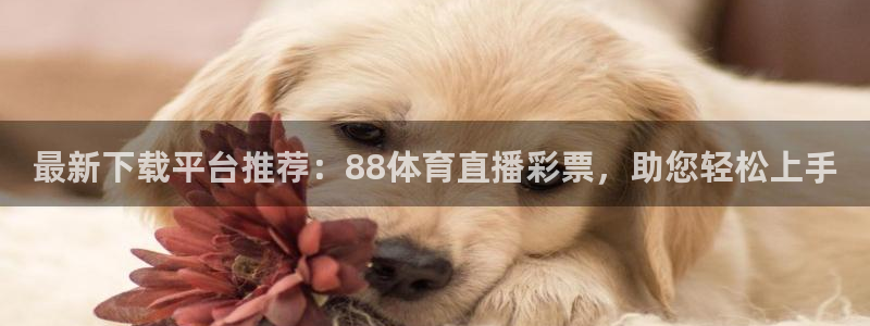蓝鲸直播安全吗：最新下载平台推荐：88体育直播彩票，助您轻松上手