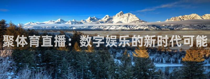 蓝鲸同志直播：聚体育直播：数字娱乐的新时代可能