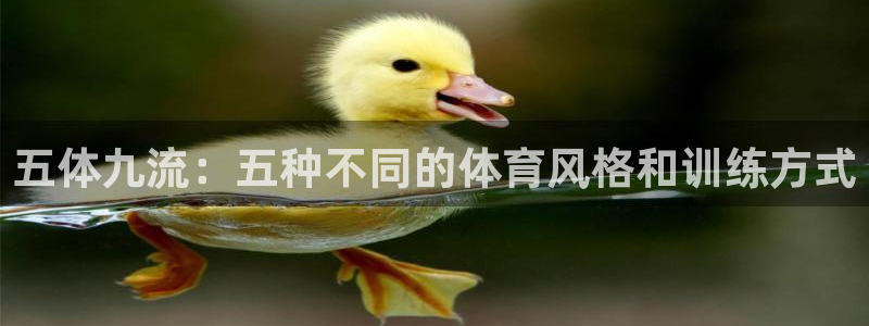 蓝鲸的视频真实：五体九流：五种不同的体育风格和训练方式