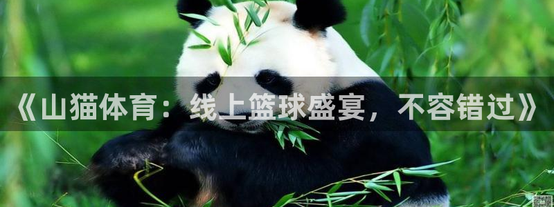 蓝鲸直播 app：《山猫体育：线上篮球盛宴，不容错过》