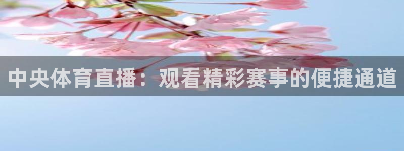 蓝鲸体育直播足球：中央体育直播：观看精彩赛事的便捷通道