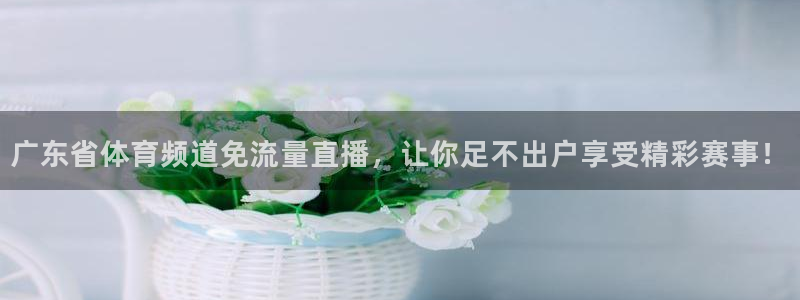 蓝鲸软件：广东省体育频道免流量直播，让你足不出户享受精彩赛事！