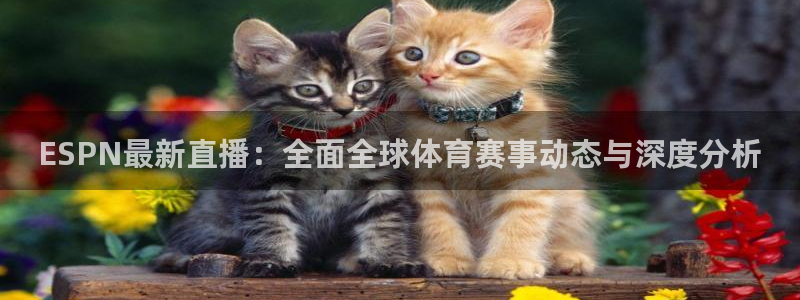 蓝鲸直播网站：ESPN最新直播：全面全球体育赛事动态与深度分析