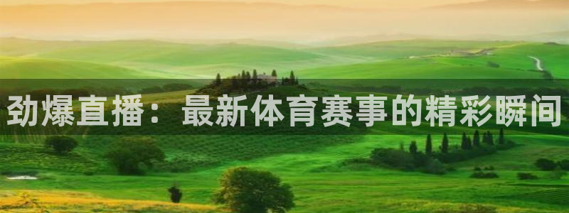 蓝鲸体育直播电脑版：劲爆直播：最新体育赛事的精彩瞬间