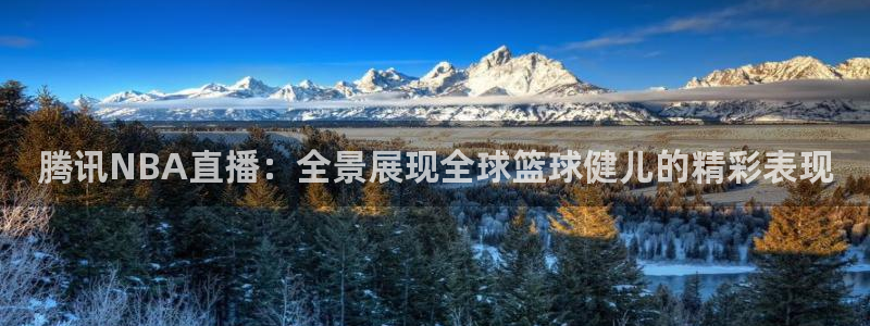 蓝鲸的视频大全：腾讯NBA直播：全景展现全球篮球健儿的精彩表现