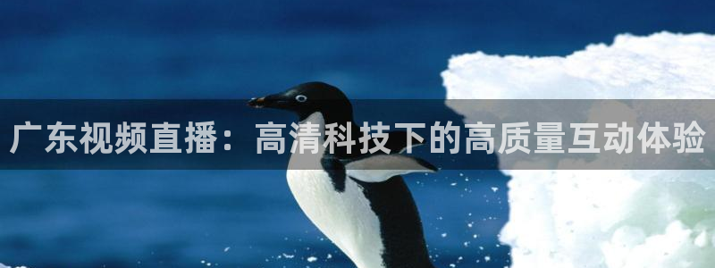 蓝鲸体育直播免费观看：广东视频直播：高清科技下的高质量互动体验