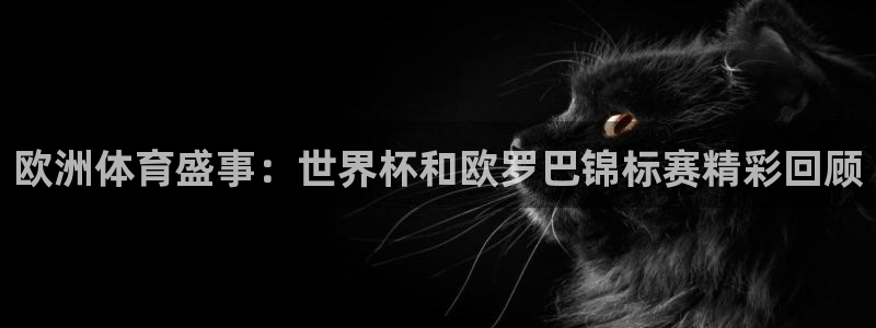蓝鲸直播app ios：欧洲体育盛事：世界杯和欧罗巴锦标赛精彩回顾
